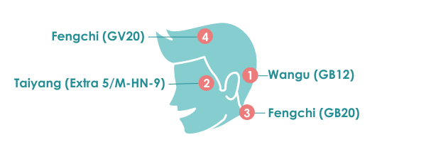 outline of face detailing pressure point locations for hair loss acupressure