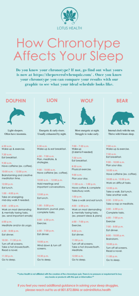 Infographic of chronotype affect on sleep and daily schedule